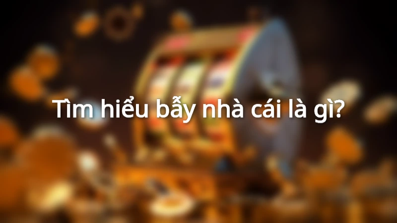 Tân thủ nên tìm hiểu bẫy nhà cái là gì trước khi đặt cược